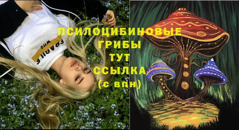 Псилоцибиновые грибы Psilocybe  Новосиль 